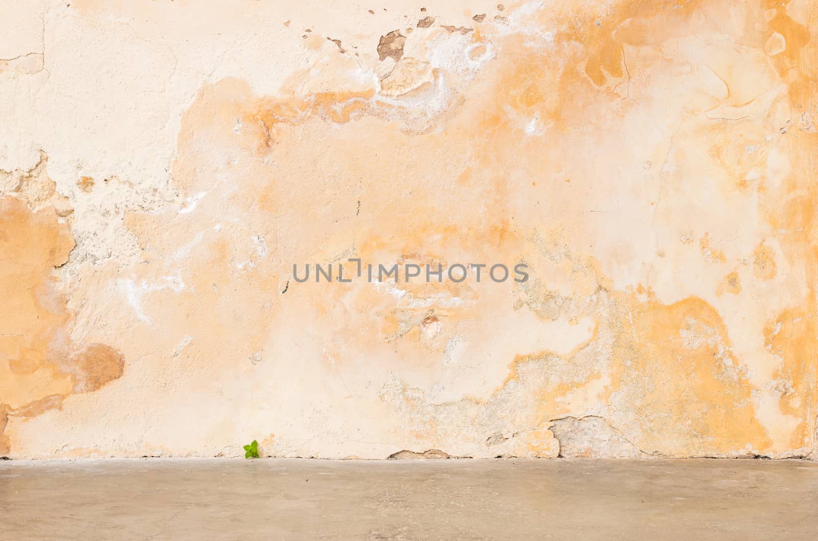 Background scene of vintage wall with sidewalk and copy space

