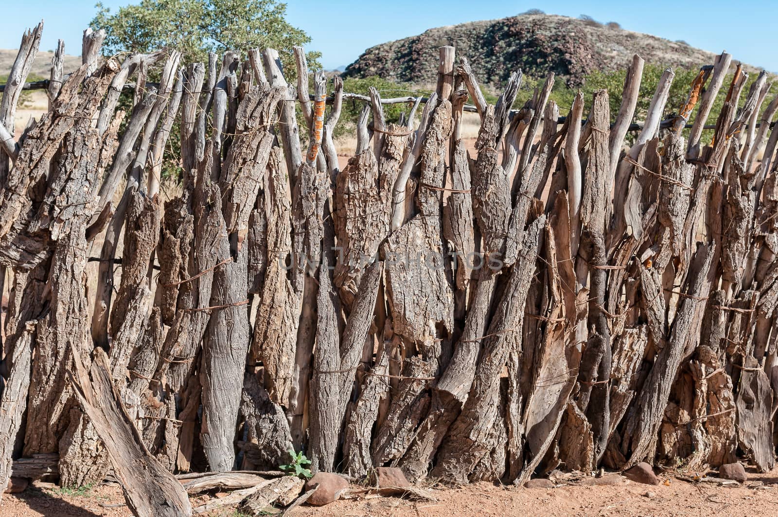Traditional fence at the Damara Living Museum in Damaraland by dpreezg