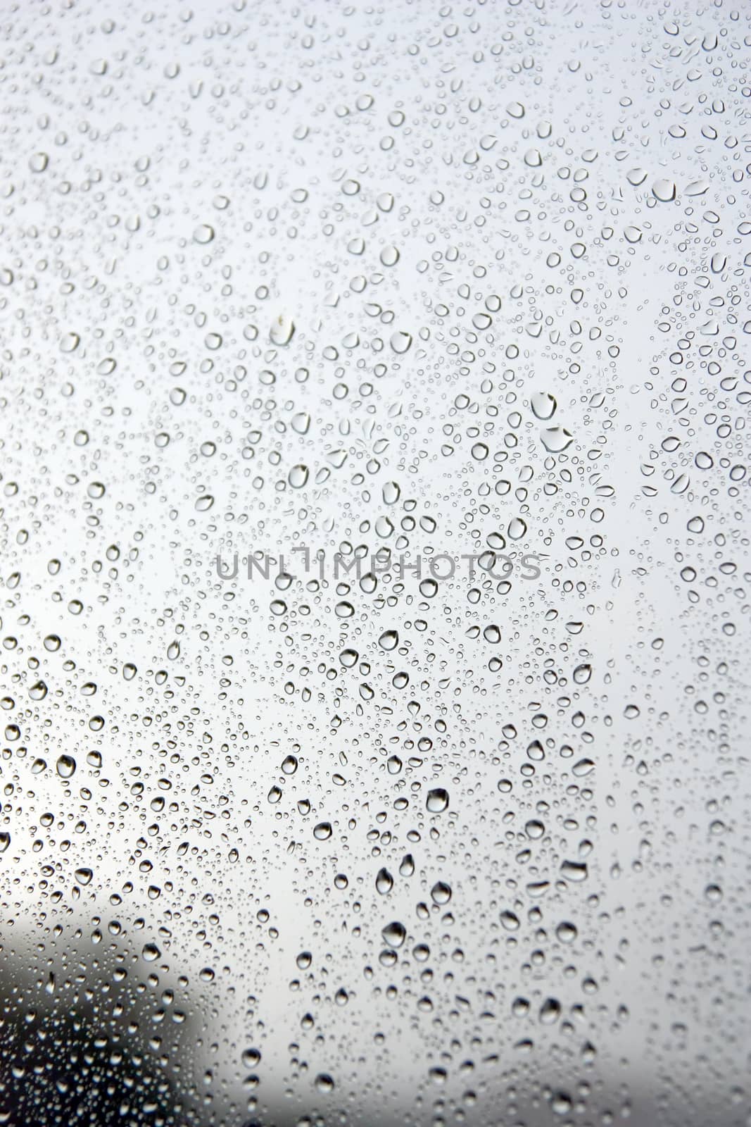 Drops of rain on the window. by sergpet