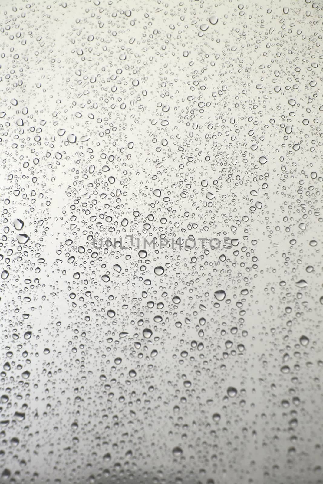 Drops of rain on the window. by sergpet