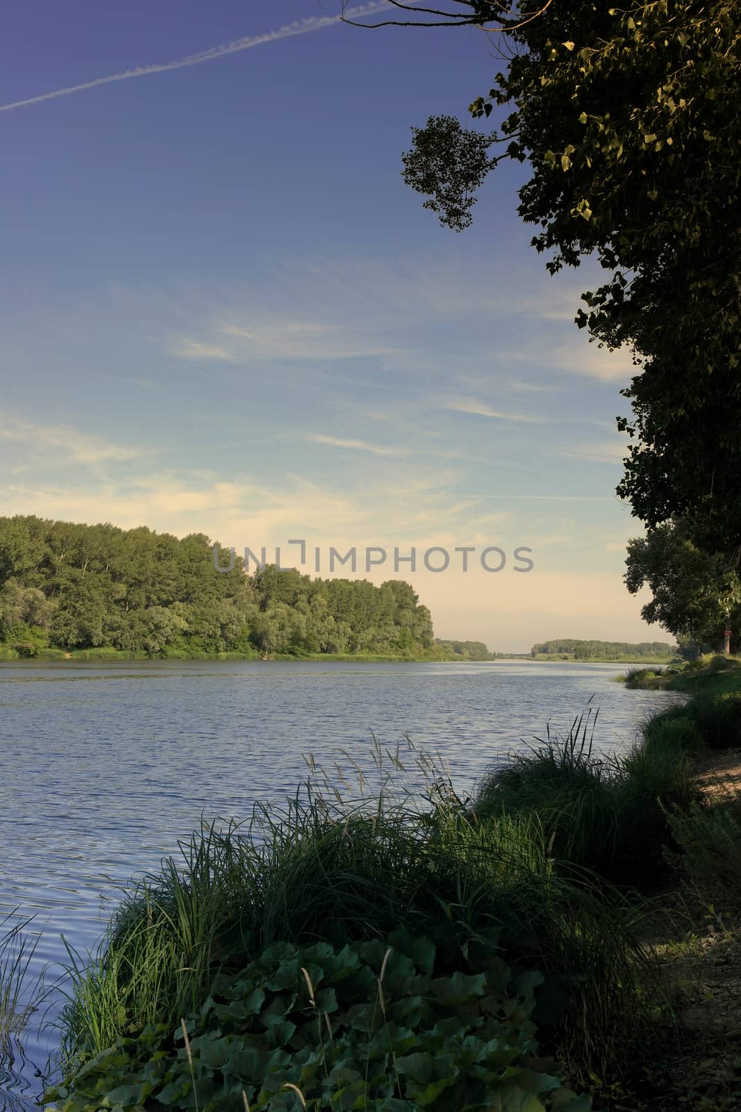 Beautiful summer landscape with river