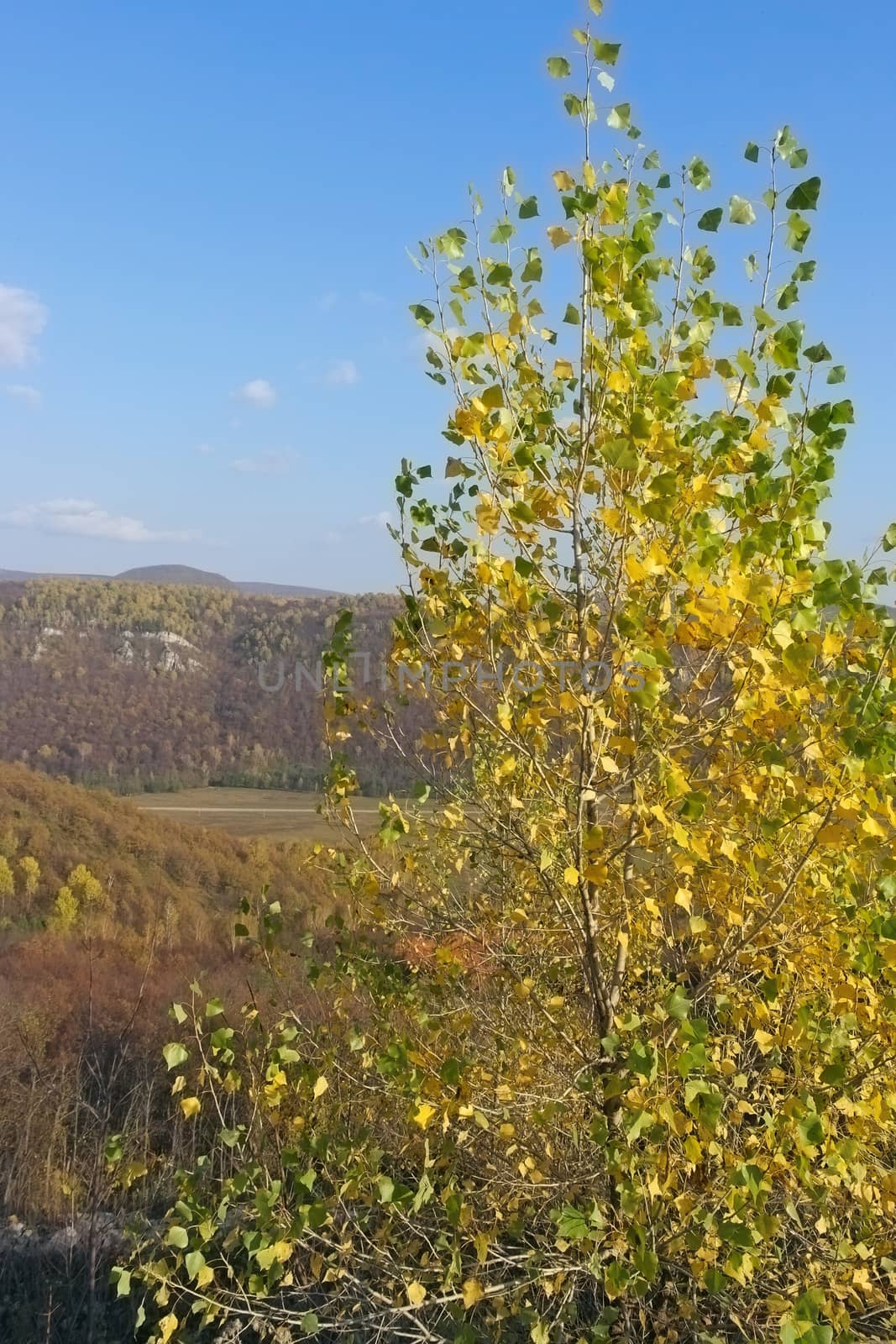 Autumn landscape by sergpet