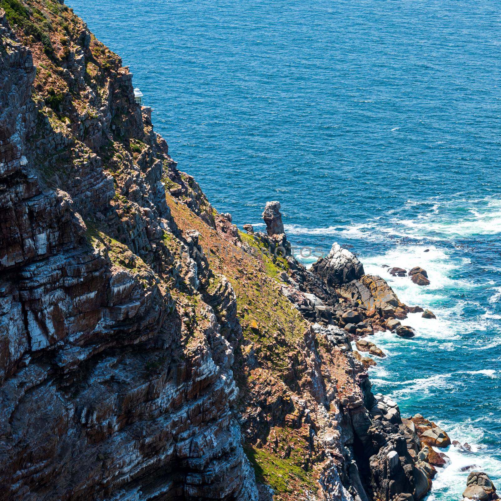 Looking down a very steep cliff to the ocean below at the Cape of Good Hope.
