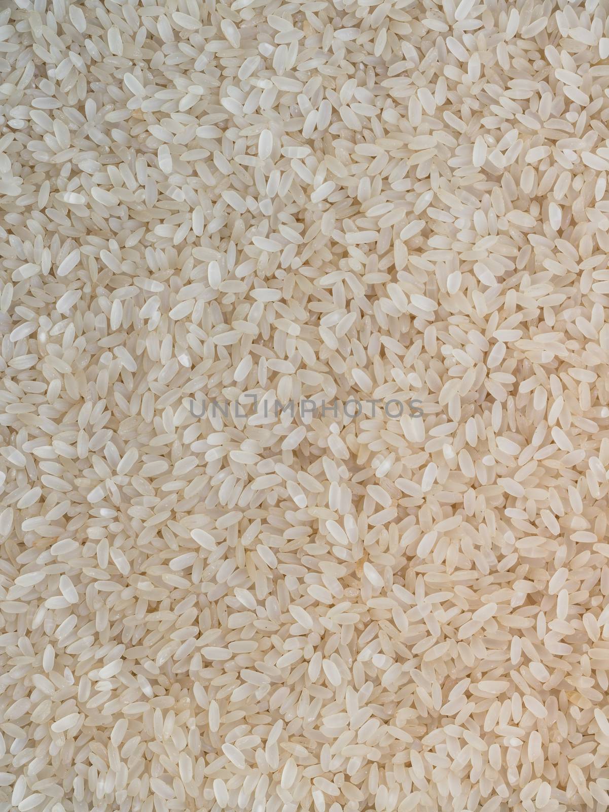 White long rice background, uncooked raw cereals, macro closeup.