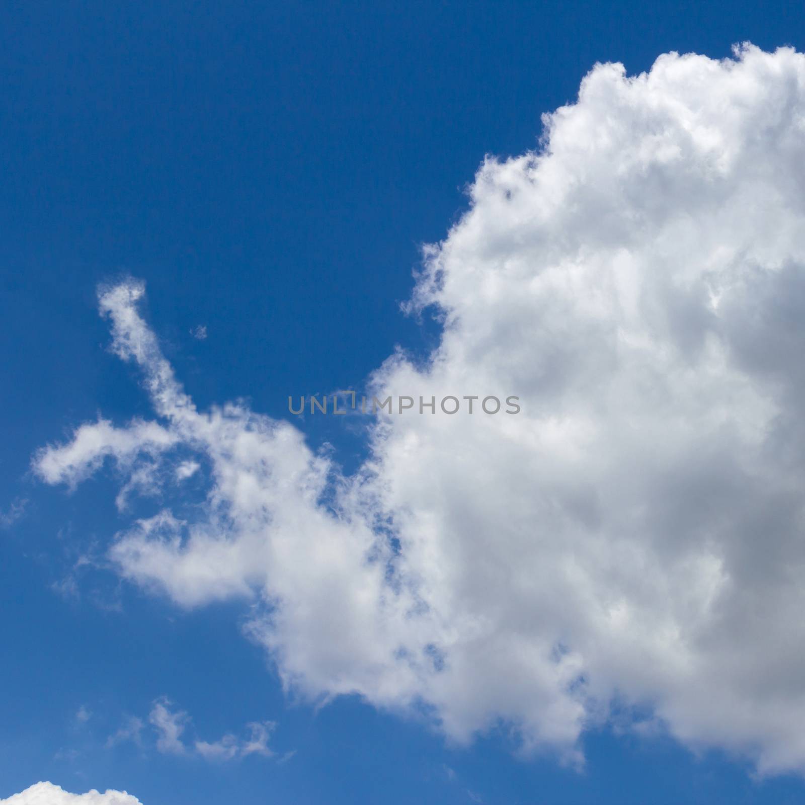 Cloud shaped as snail that flies in the blue sky.