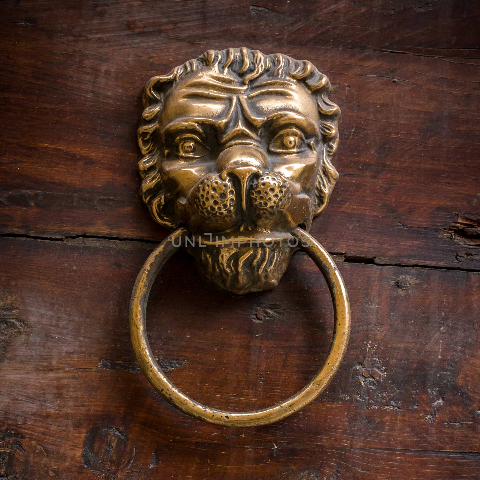 Lion head door knocker by germanopoli