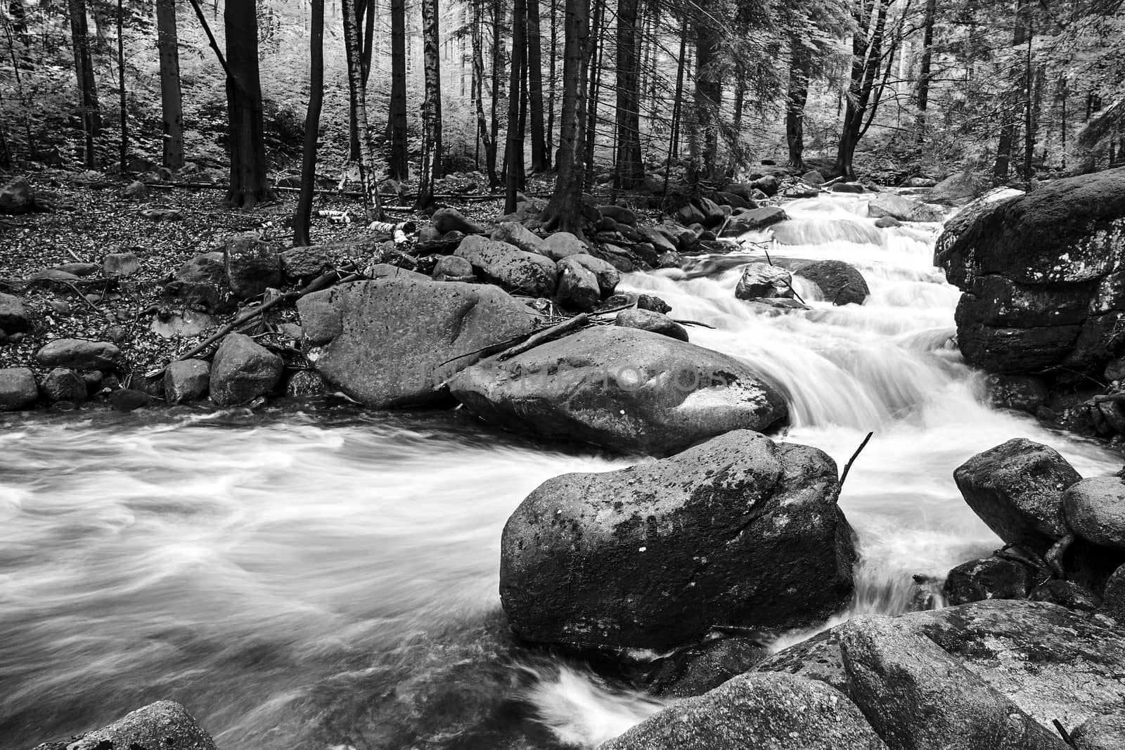 Rocks and boulders in the mountain stream in the forest in the Giant Mountains in Poland, black and white