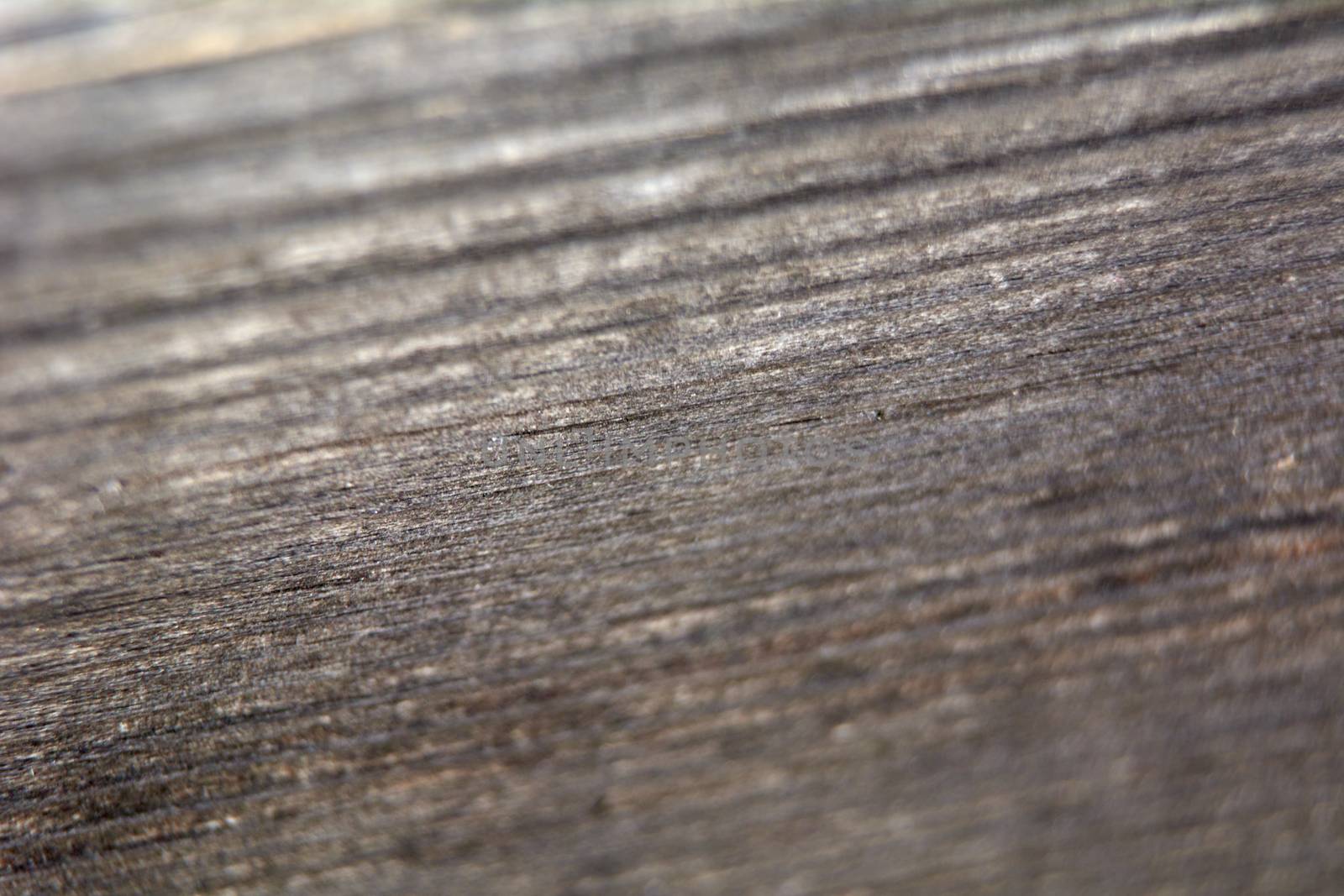 Wood background, straight lines, textures, brown warm colors