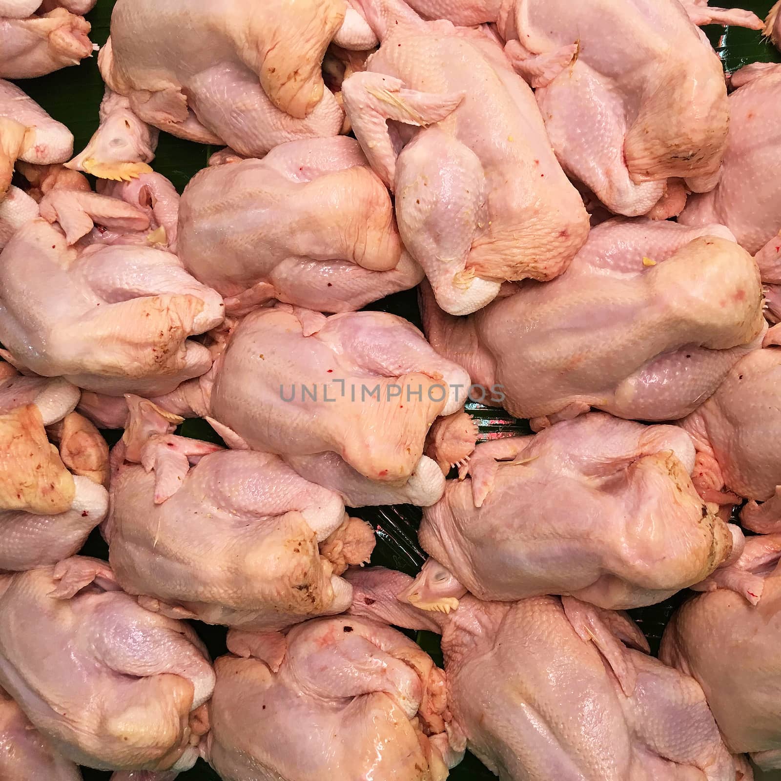 Dead chicken in Market by Surasak
