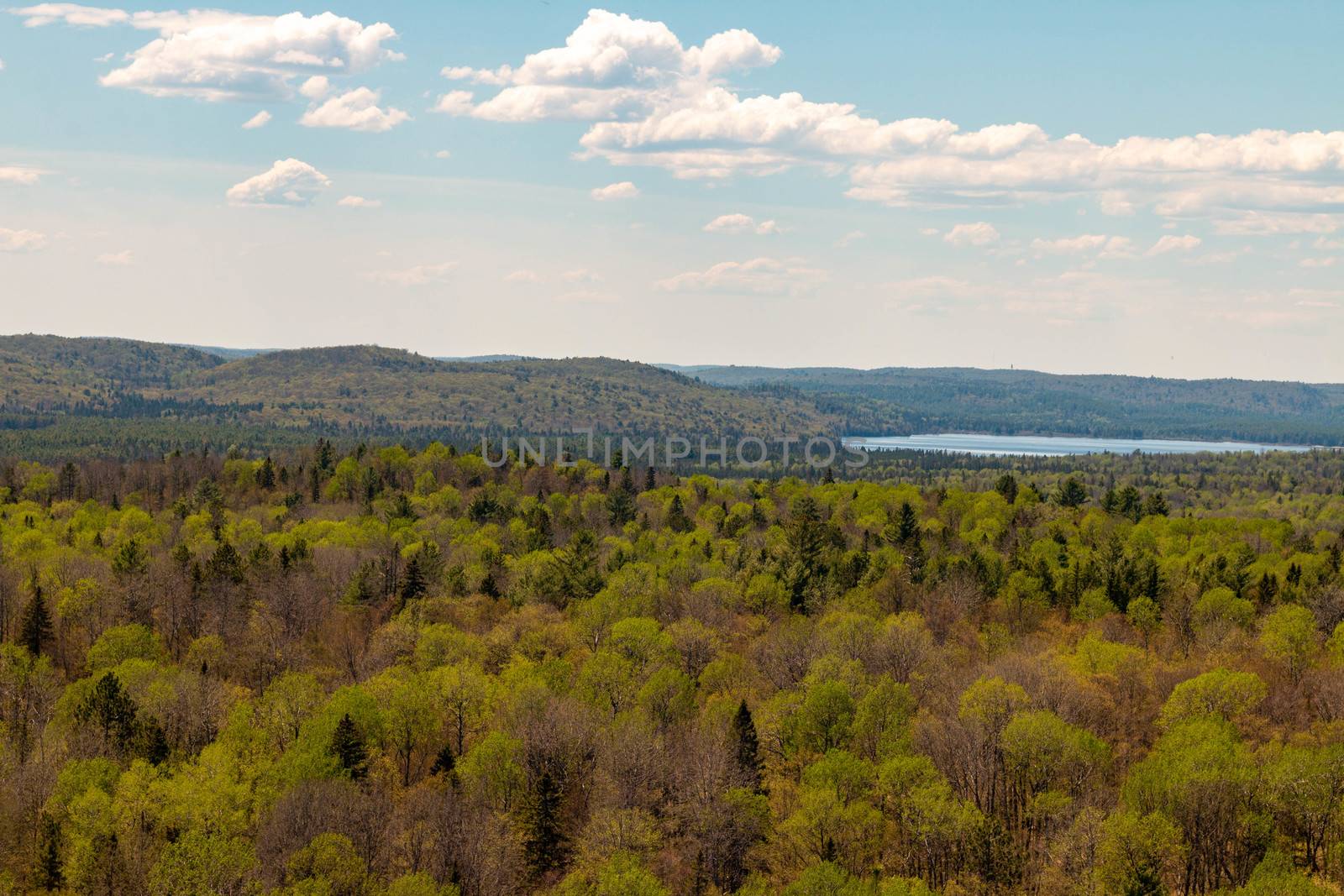 View of Rock Lake from the the Booth rock trail in Algonquin Park, Ontario, Canada. by mynewturtle1