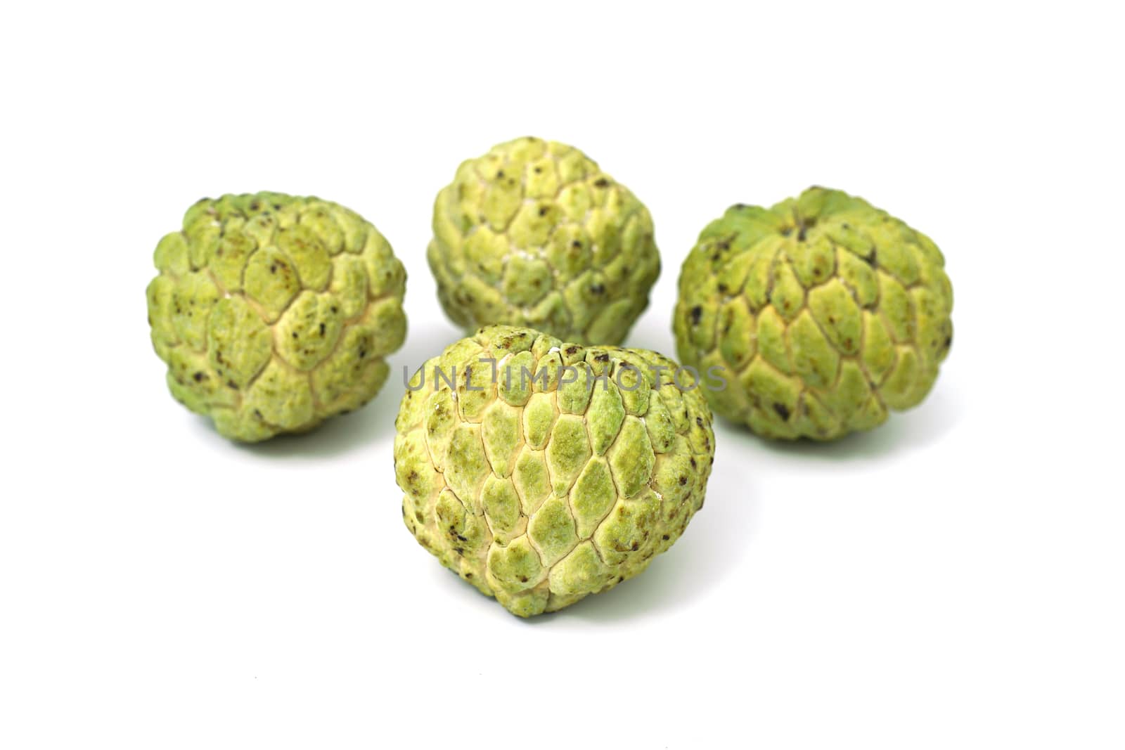 Closed up shot Fresh from nature organic Sugar apple isolated on white.