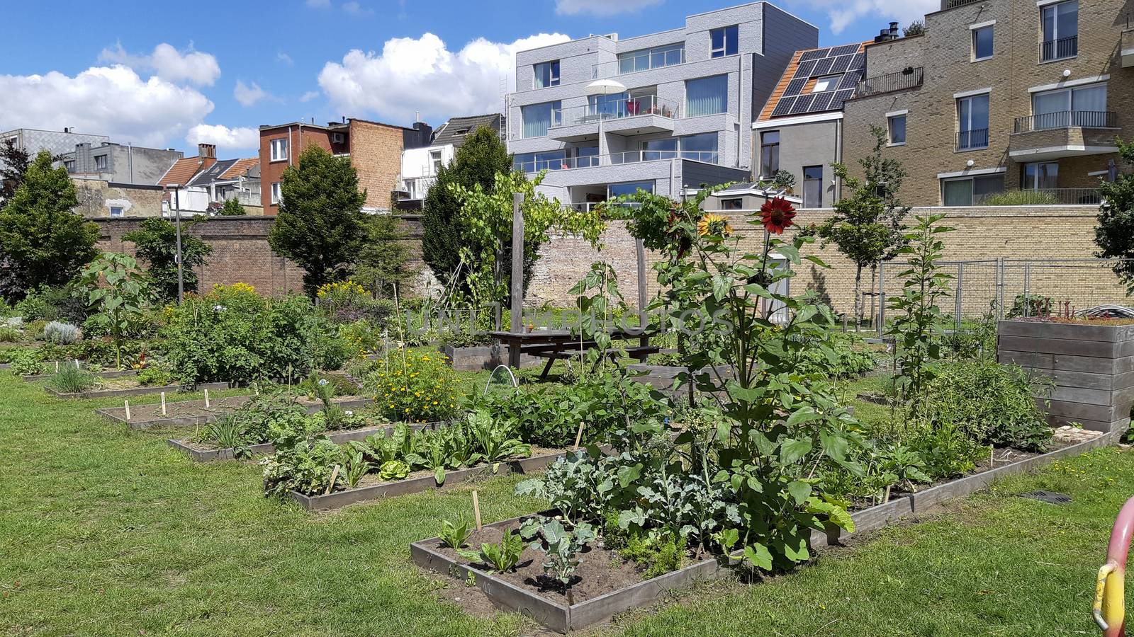 Antwerp, Belgium, July 2020: city garden or allotment community garden in the Groen Kwartier district in Antwerp, Belgium