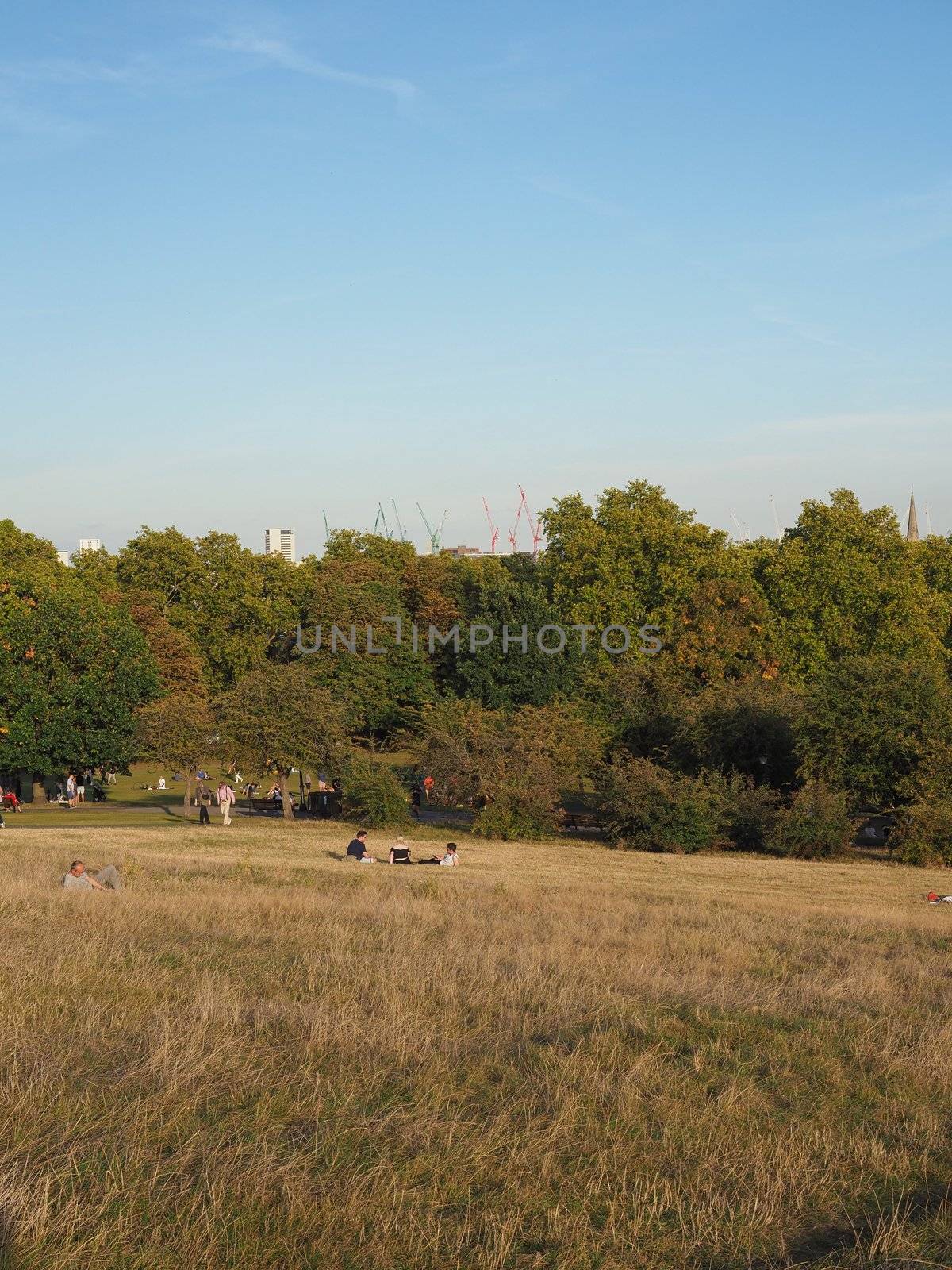 Primrose Hill in London by claudiodivizia
