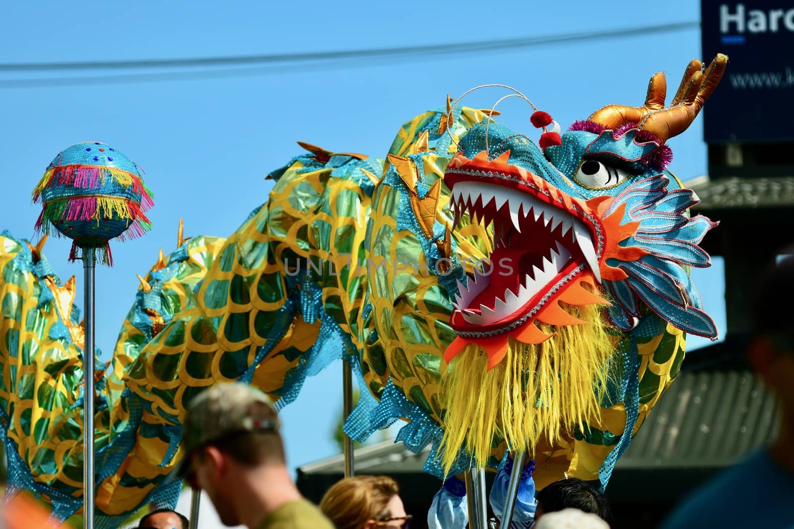 Auckland, New Zealand - Jan 2020. A Chinese dragon is being carried in the street on sticks;  Chinese New Year celebration. by Marshalkina