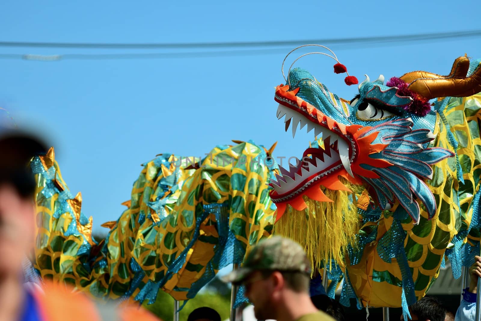 Auckland, New Zealand - Jan 2020. A Chinese dragon is being carried in the street on sticks;  Chinese New Year celebration. by Marshalkina