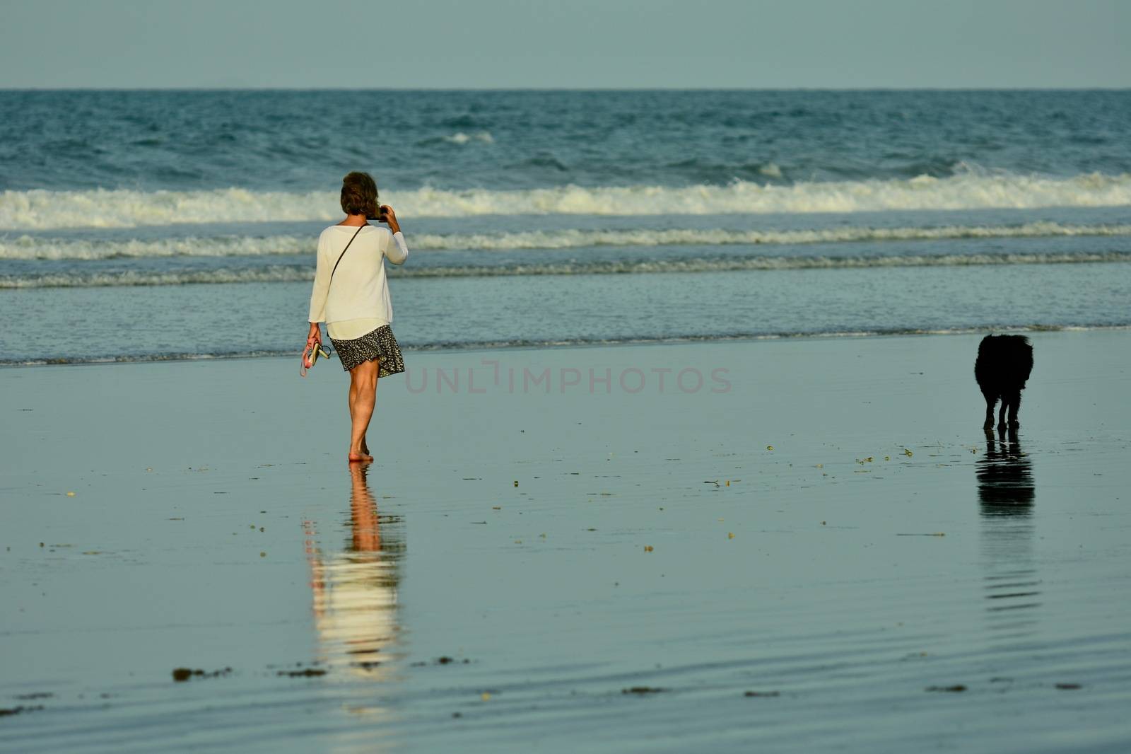 Auckland, New Zealand - Mar 2020. An unidentified young woman enjoying a walk on the beach, with her dog exploring the beach. by Marshalkina