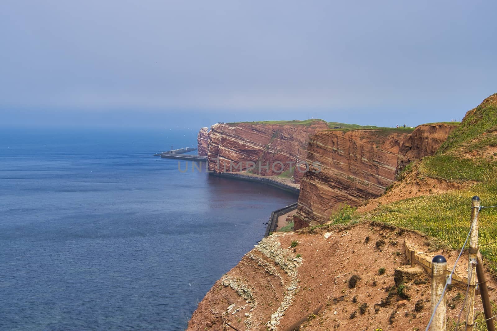 The Coastline of Heligoland - blue sky and blue north sea - green flower in front