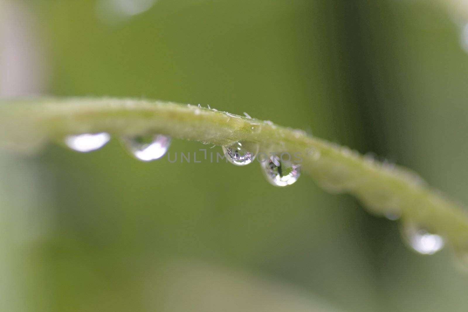 Raindrop by Bullysoft