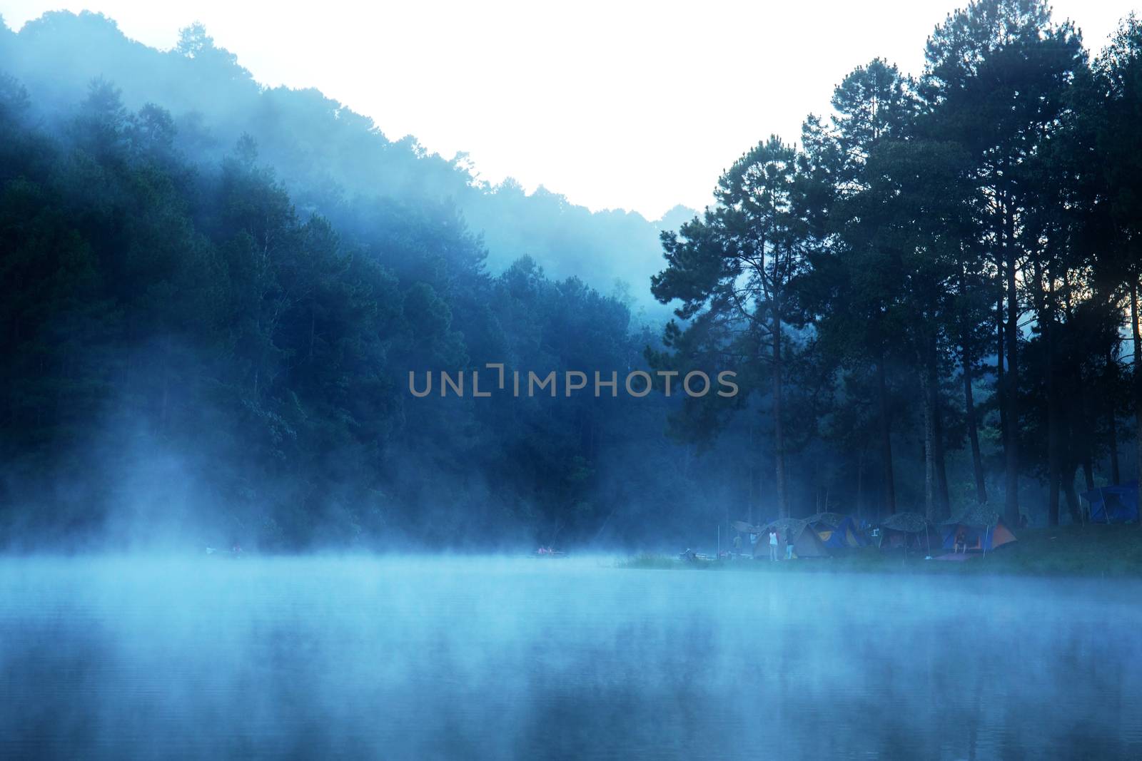 Mist in the morning of nature. by start08