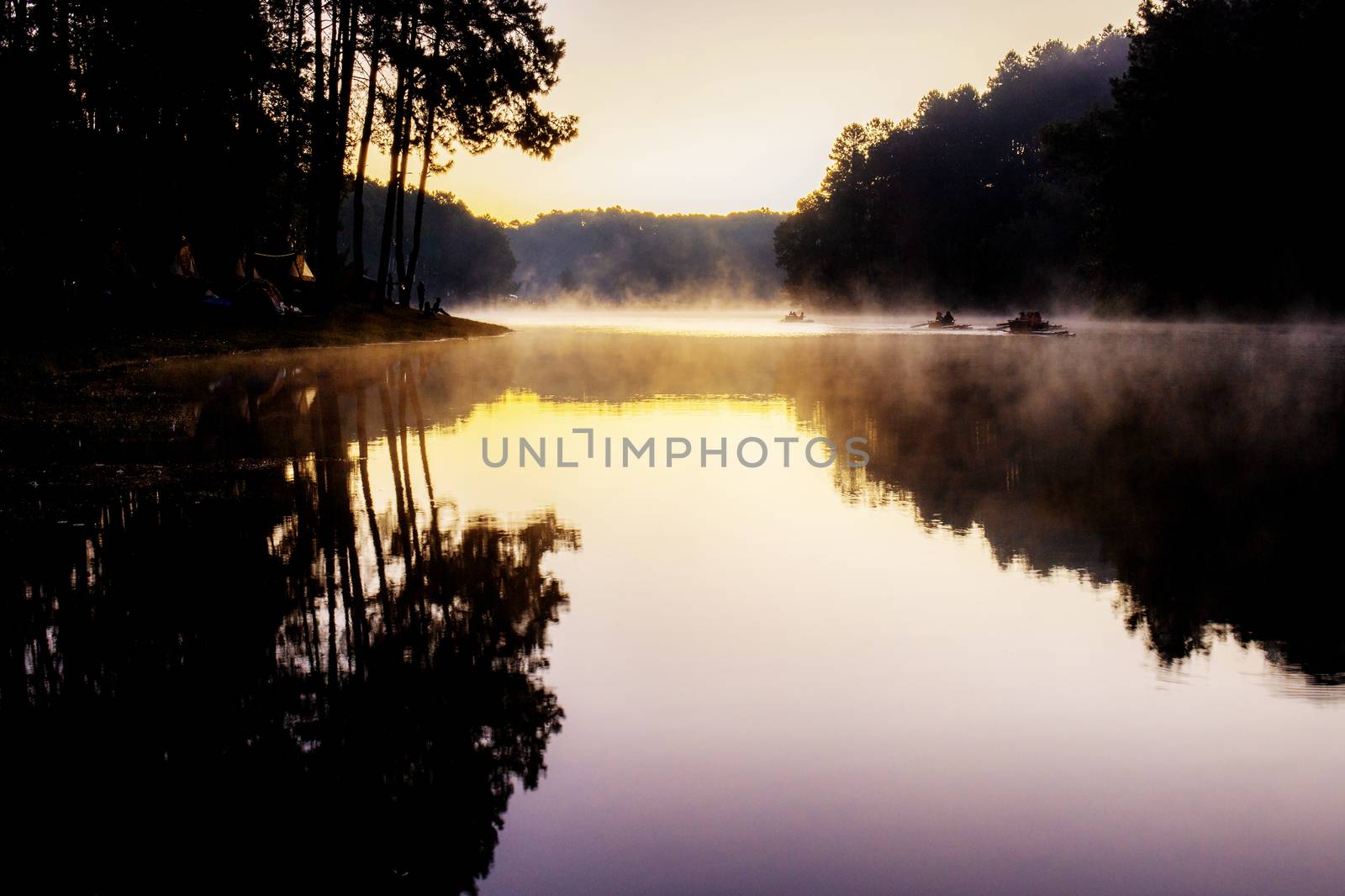 Pine tree with sunset at river. by start08