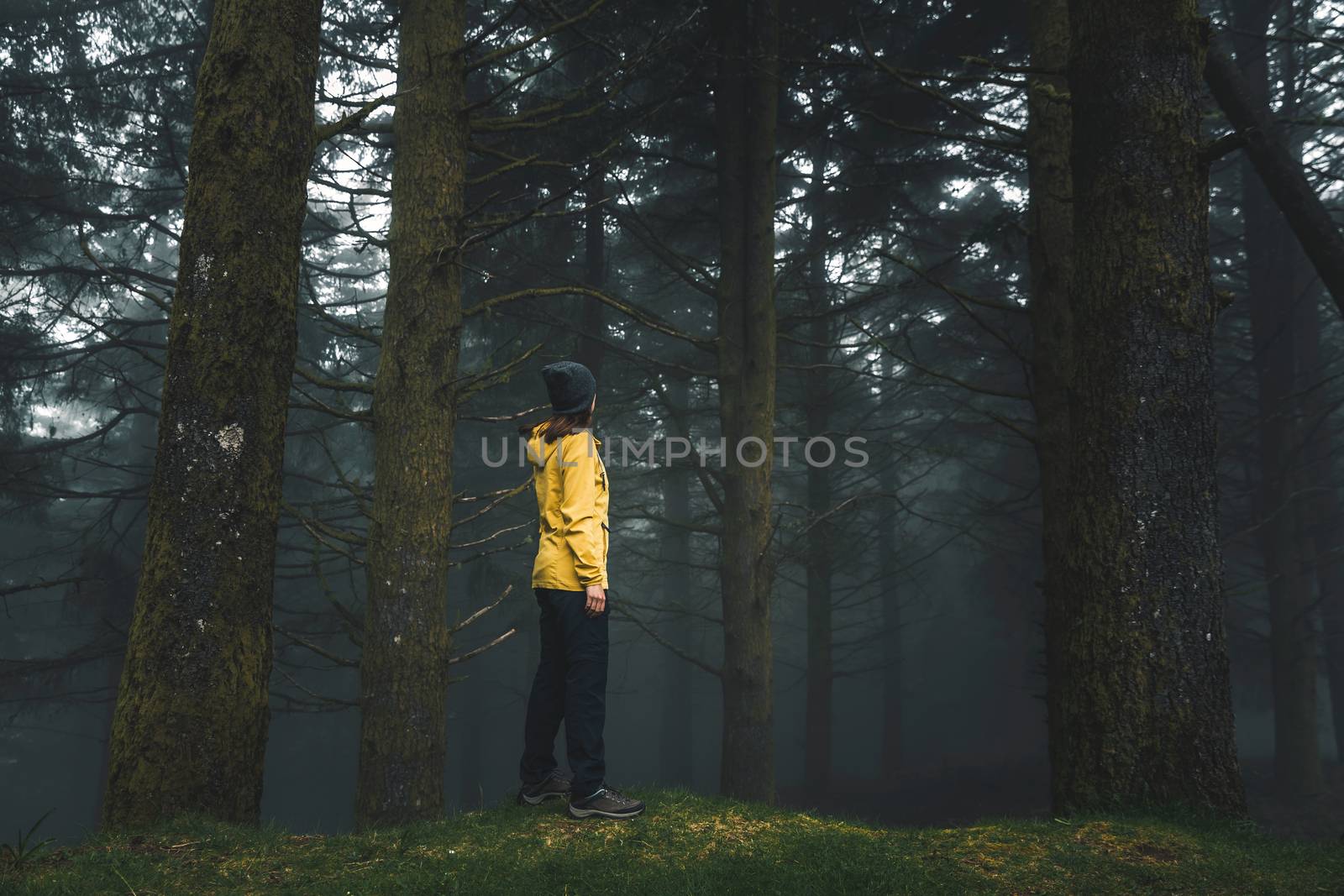 Female traveler enjoying the forest on a foggy morning