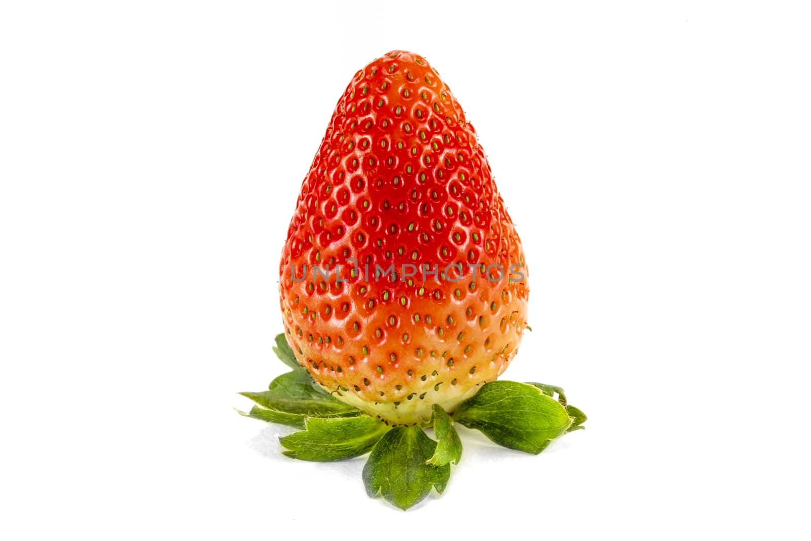Fresh large red strawberry, isolated on white background
