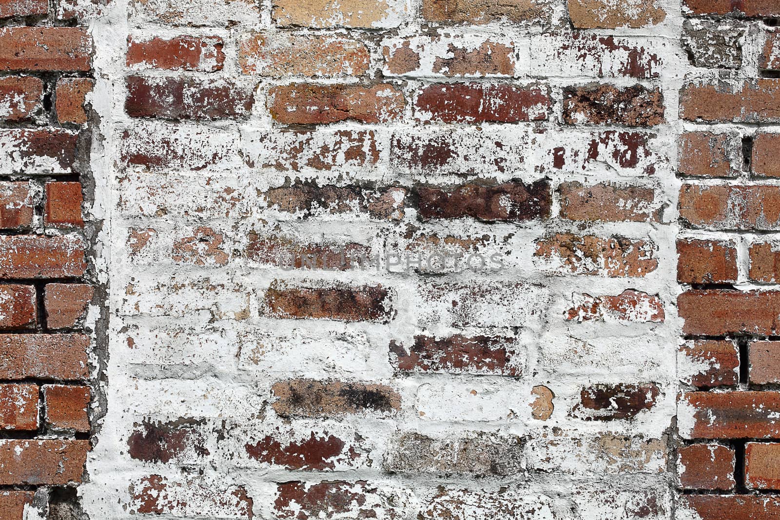 Old large red brick wall background distressed with white paint by ant