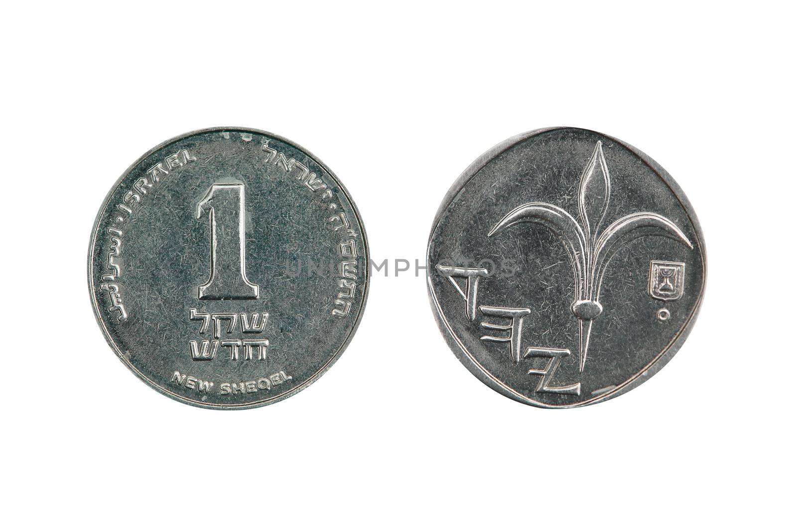 One new Israel shekel coin a common Israeli coinage  by ant