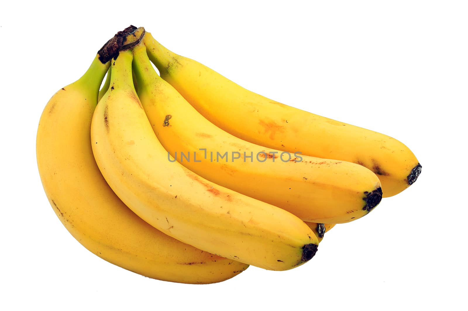 ripe bananas cut out and isolated on a white to make a banana ba by ant