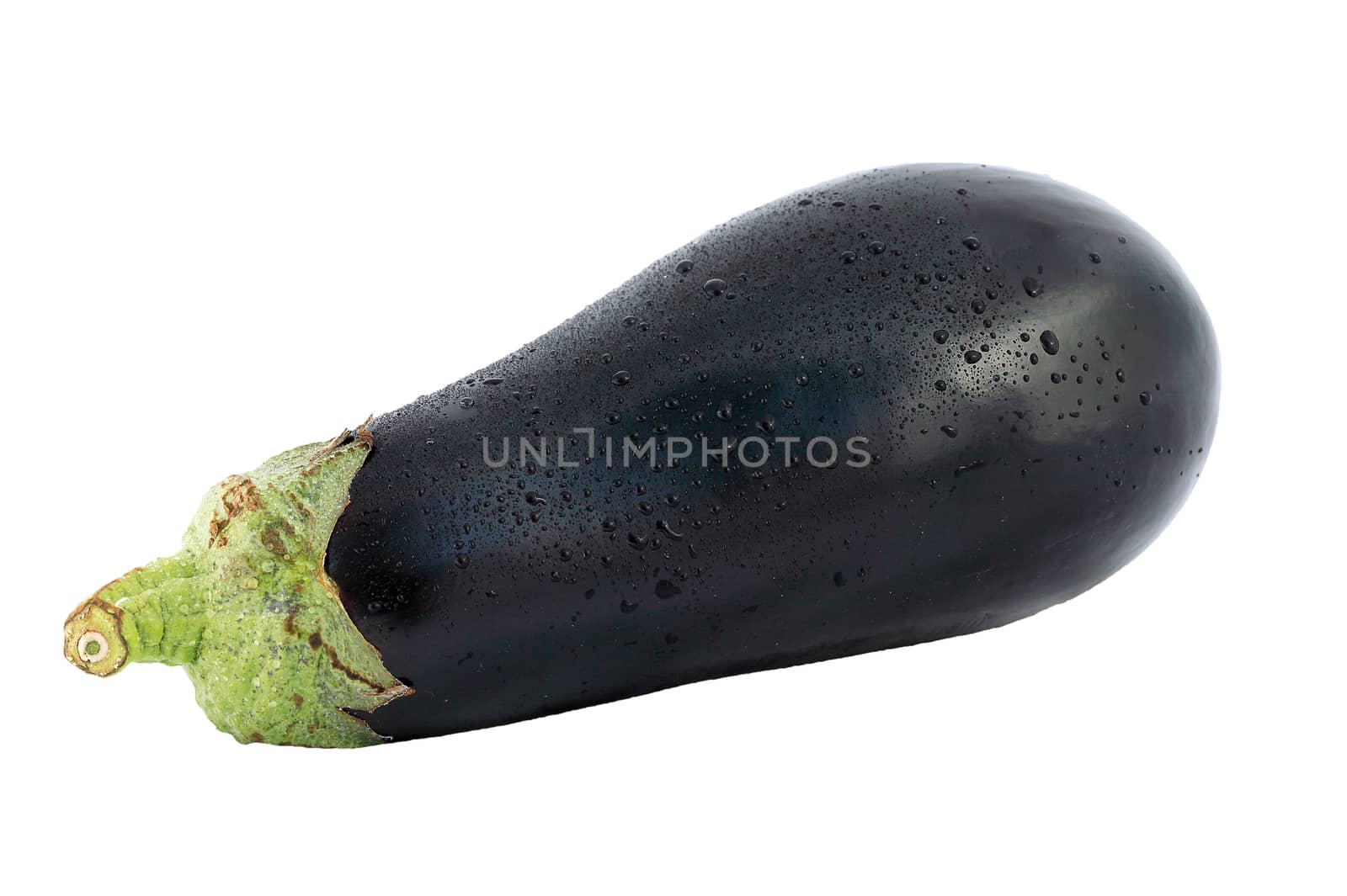 Aubergine eggplant cut out on and isolated  by ant