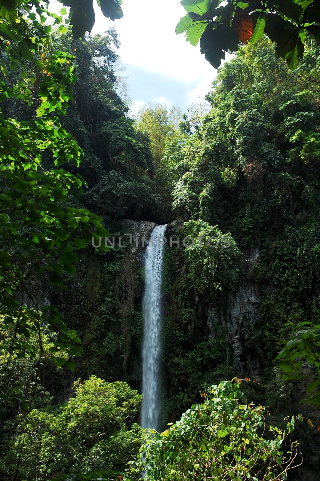 Katibawasan water falls and green leaves  by imwaltersy