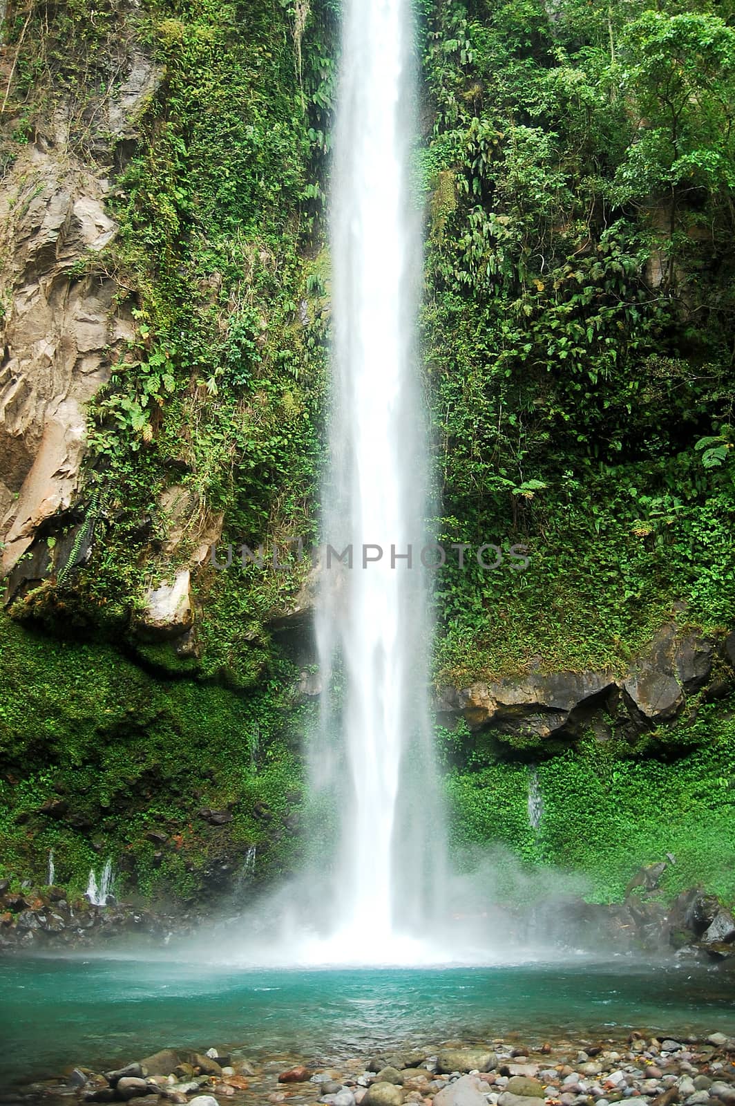 Katibawasan water falls and green leaves in Camiguin, Philippines