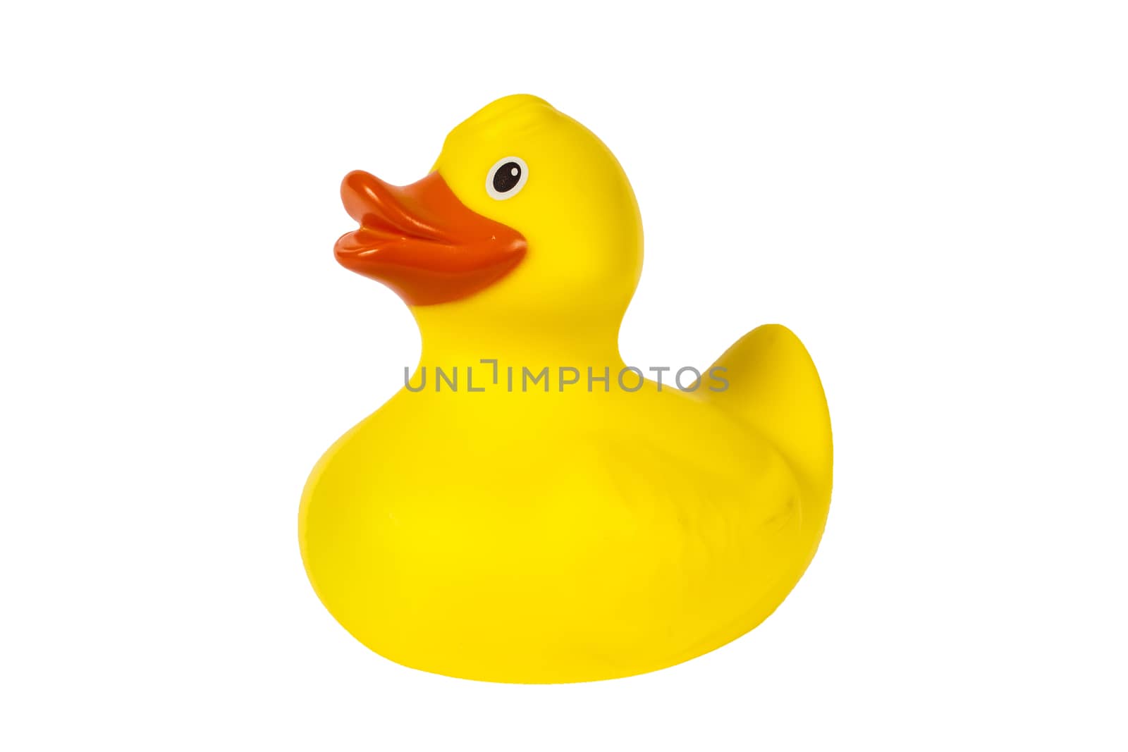 Yellow plastic rubber duck cut out and isolated  by ant