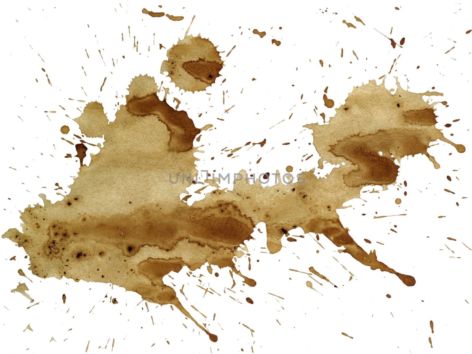 Coffee splatter cut out on and isolated by ant