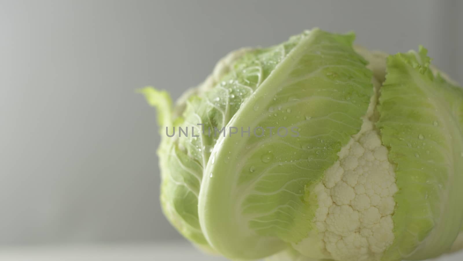 Close-up studio shot of a freshly harvested cauliflower cabbage with green leaves that surround it with hoarfrost water droplets