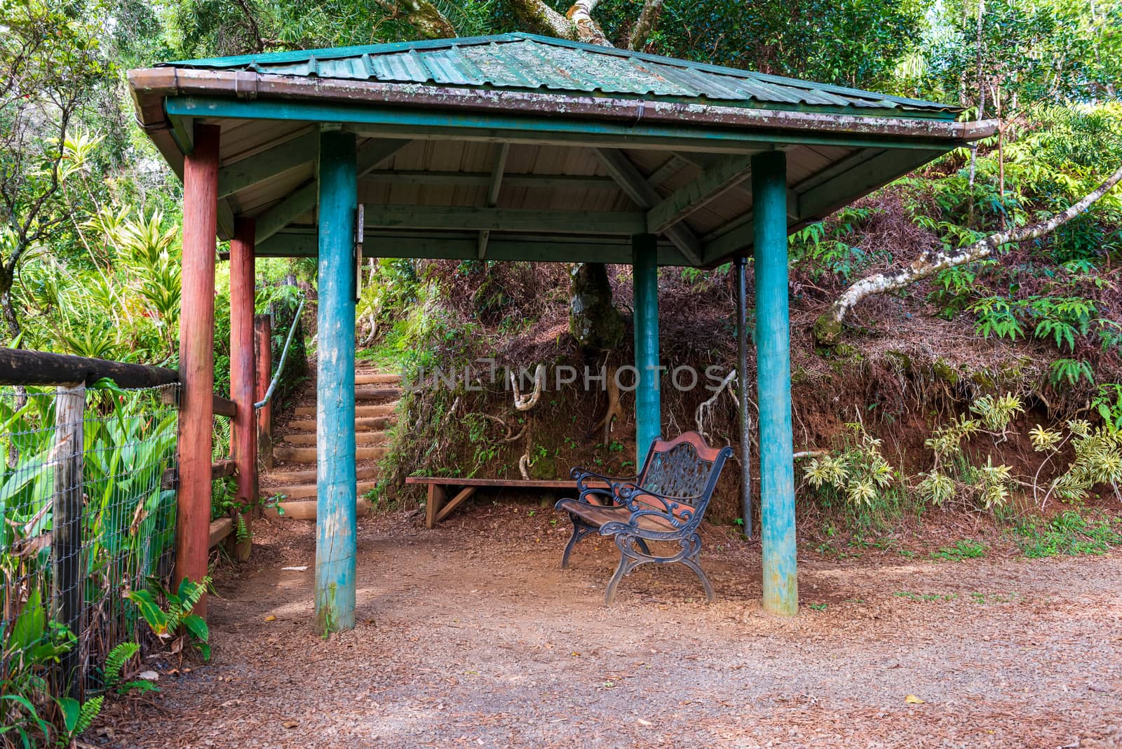 A wide angle photo of a rest stop with an overhead roof and park bench located on a hiking trail in Maui, Hawii.