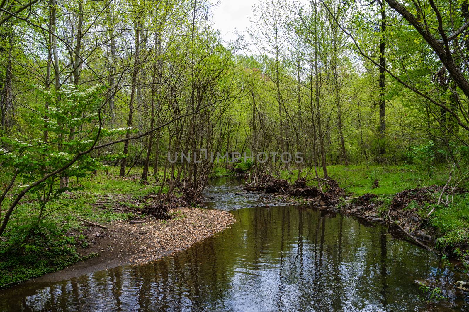 Wide angle Photo of Snakeden Stream by jfbenning