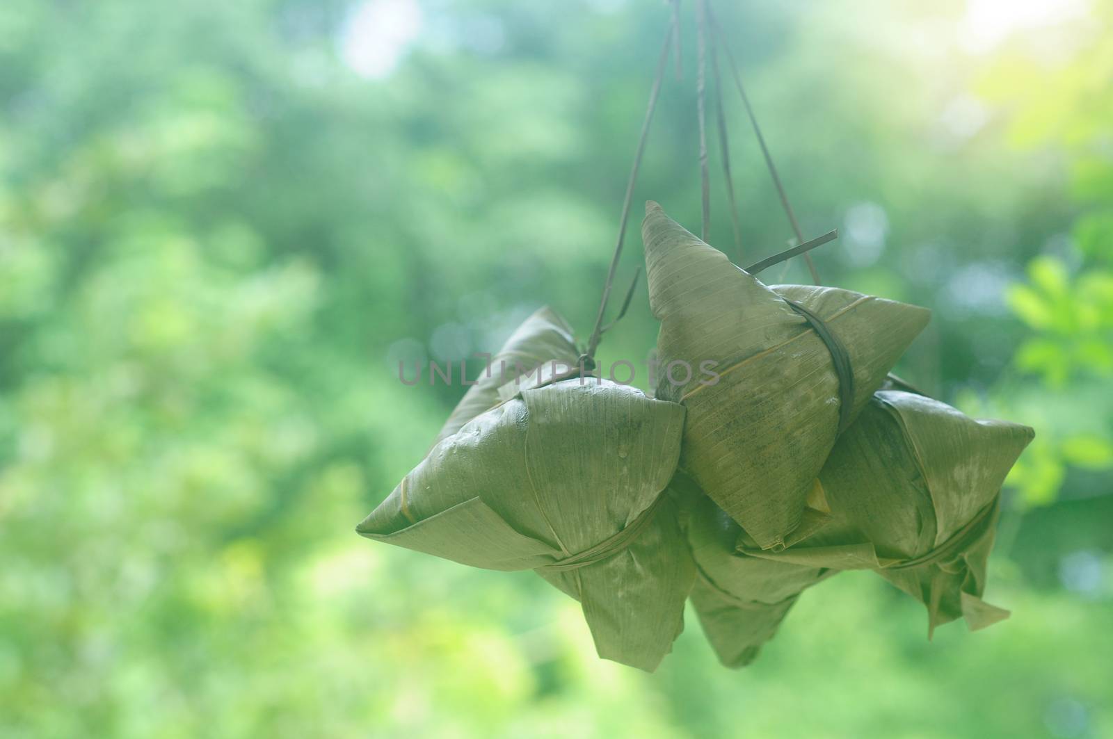 Chinese tradition food - Chinese Steamed Rice Dumpling  with bokeh background outdoor.Zongzi or traditional chinese sticky rice dumpling usually taken during festival occasion. 