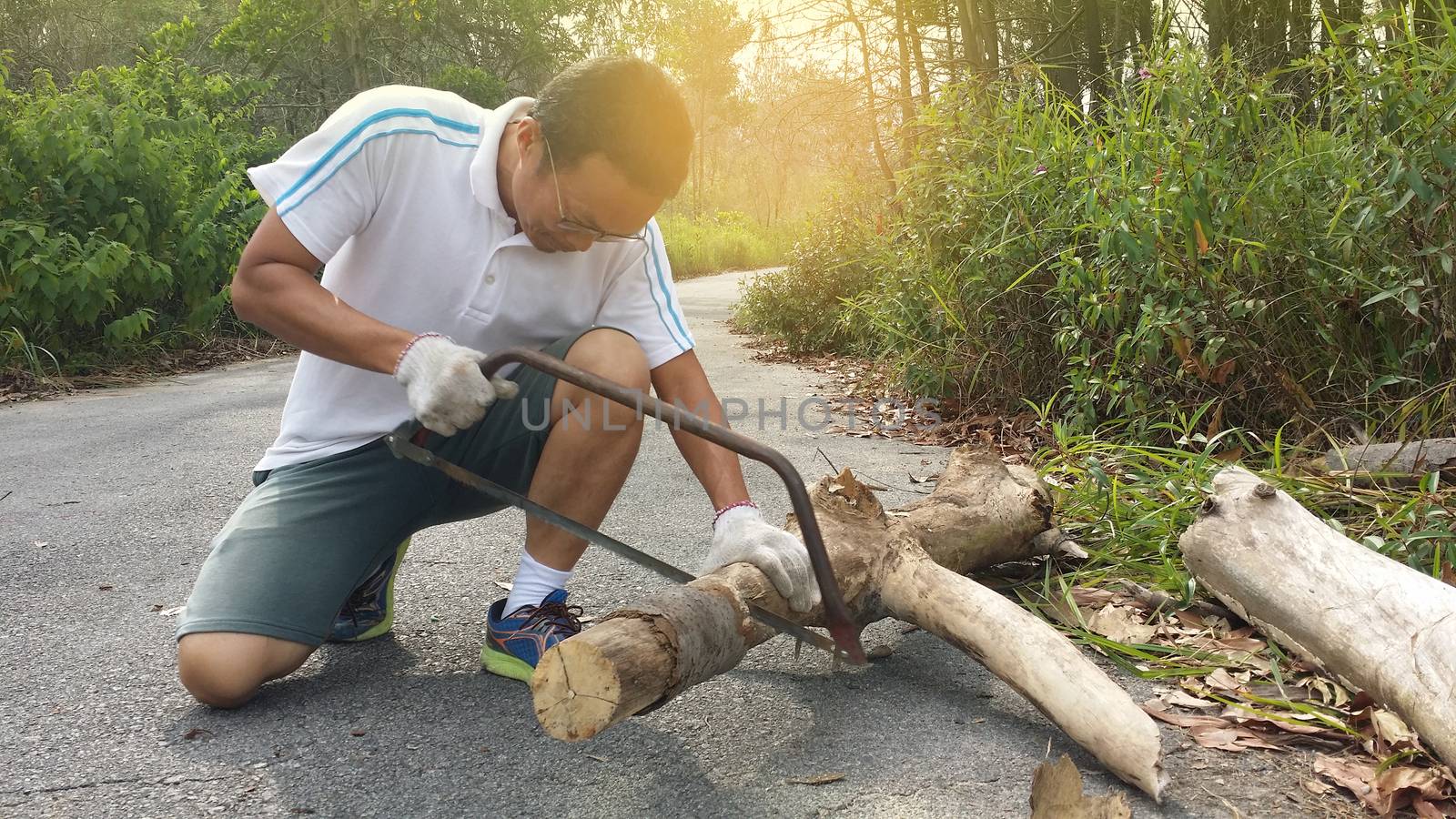 A man cuts a dry branch with a hand saw in the forest