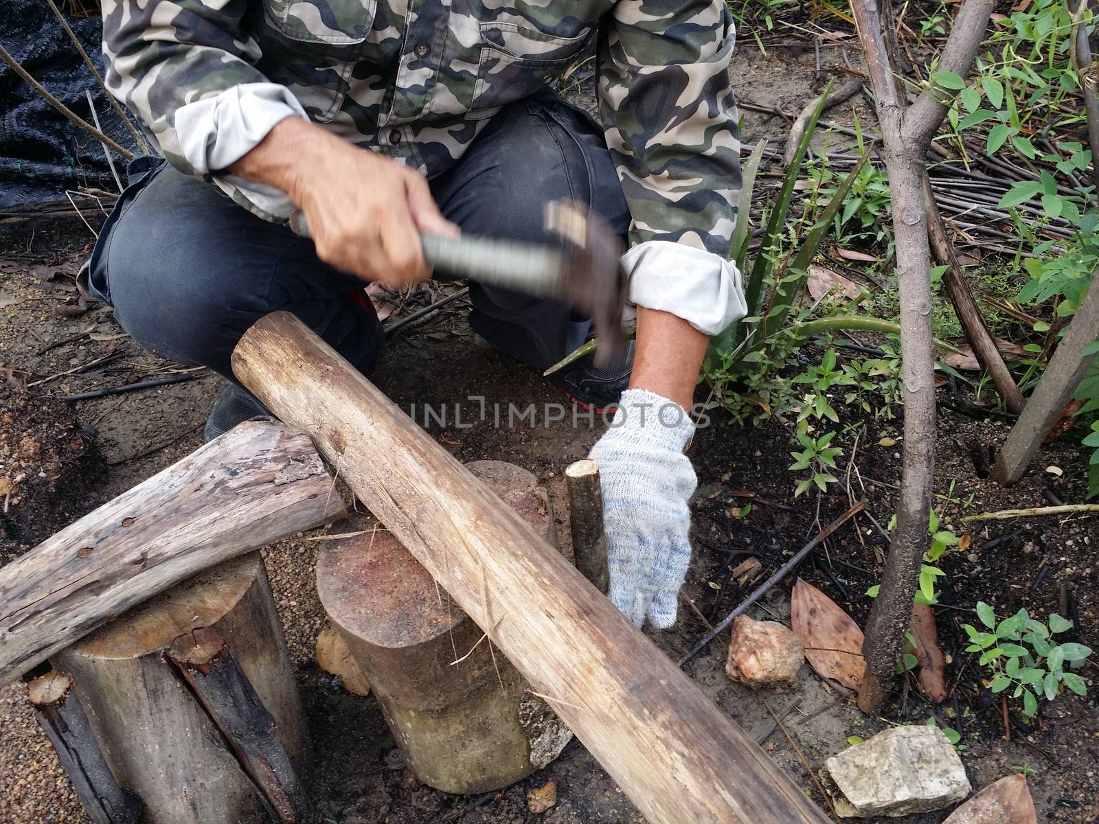 A man hammer a tree with a hammer and  nail for making a chair at garden.