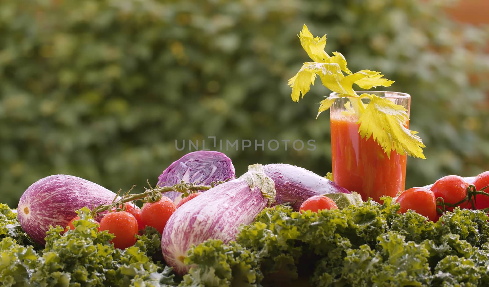Close up tomato juice with celery in a glass, fresh vegetables on the table in drops of water. Harvesting in a country farm. Healthy food concept