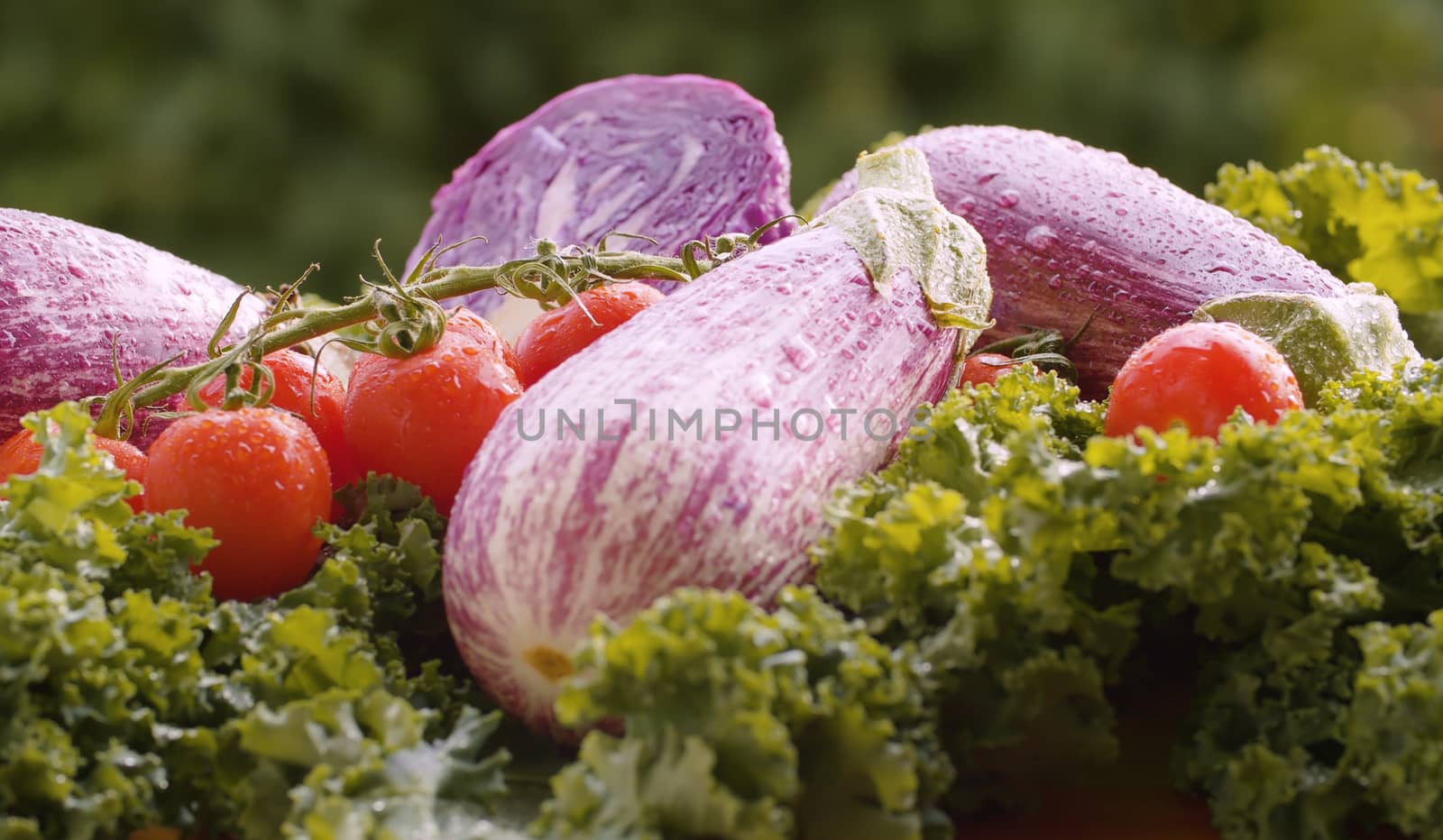 Close up fresh vegetables on the table in drops of water. Harvesting in a country farm. Healthy fresh food concept
