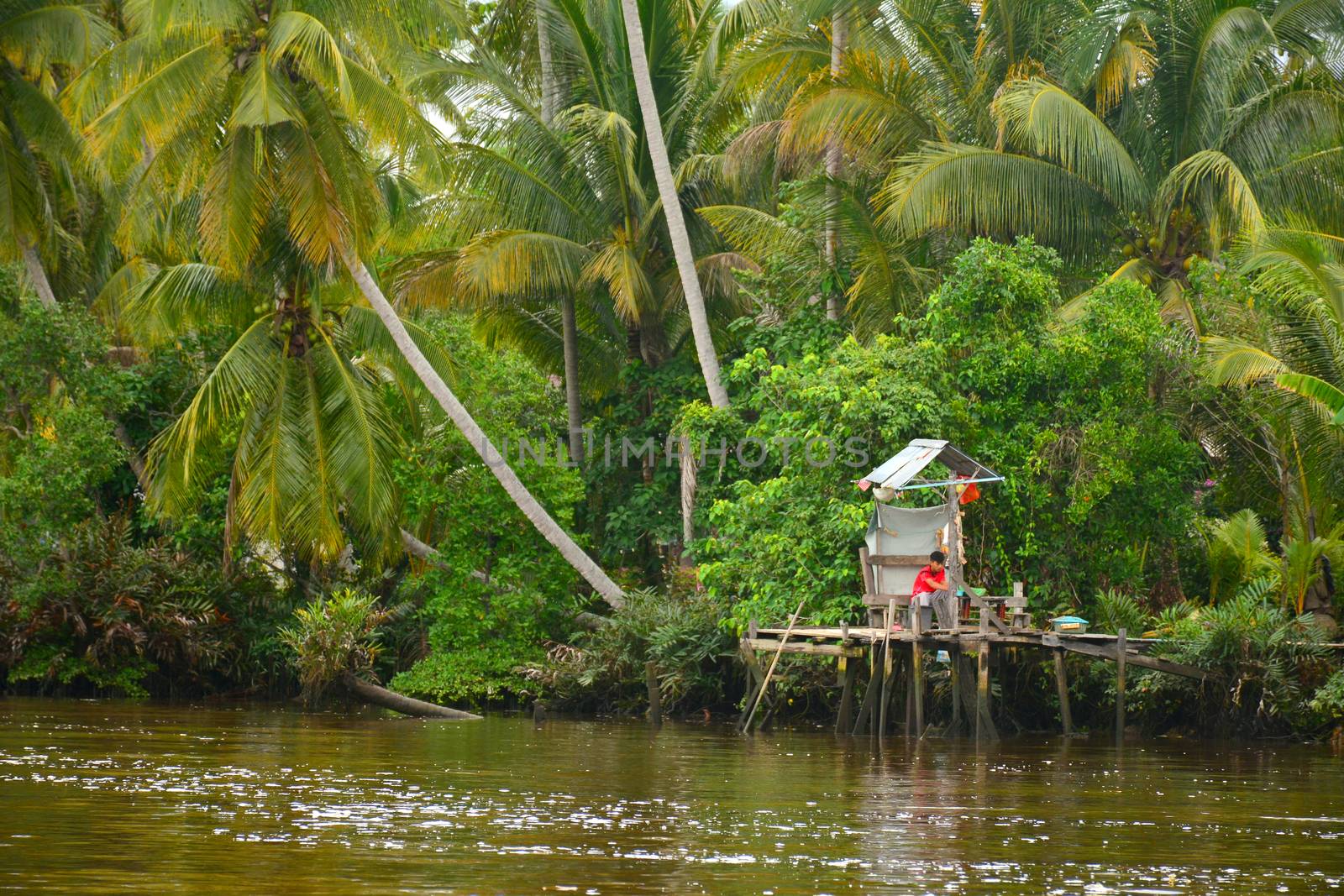 KOTA KINABALU, MY - JUNE 20: Klias River on June 20, 2016 in Malaysia. Klias river is a Mangrove Forest Reserve and a ecotourism destination wherein you can see proboscis monkey in the trees.