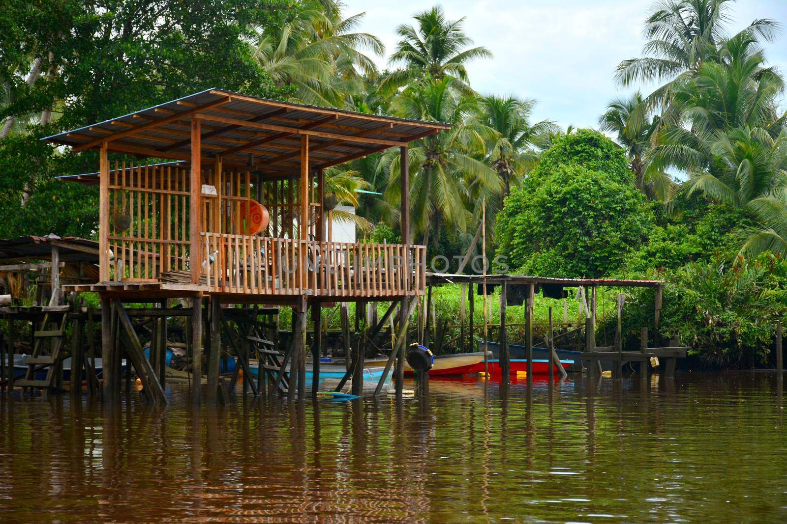 KOTA KINABALU, MY - JUNE 20: Klias River on June 20, 2016 in Malaysia. Klias river is a Mangrove Forest Reserve and a ecotourism destination wherein you can see proboscis monkey in the trees.