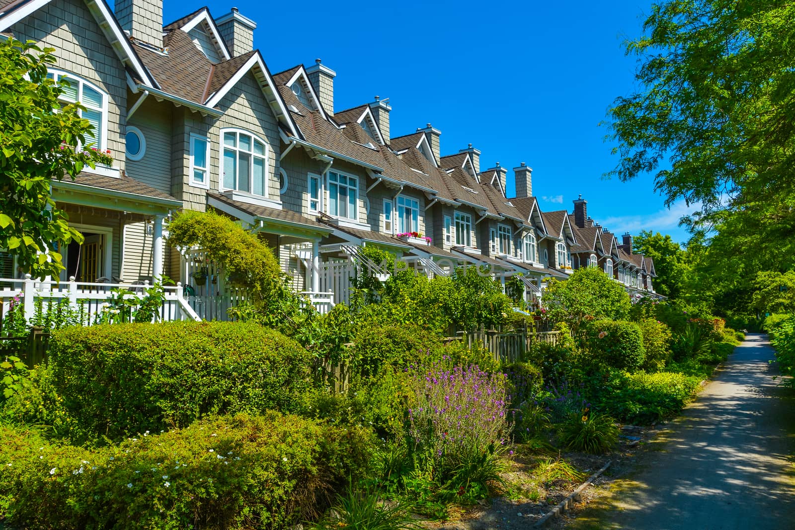 Residential townhouses on sunny day in Vancouver, British Columbia, Canada