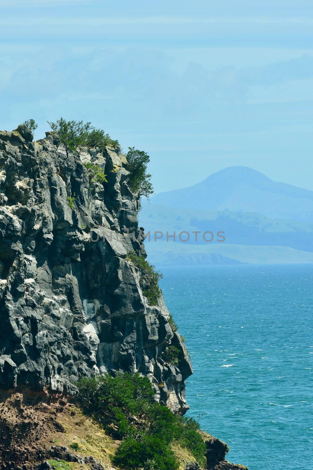 The “wild” West Coast of New Zealand: rugged coastal cliffs shaped by powerful processes of erosion and sedimentation due to wind and waves by Marshalkina