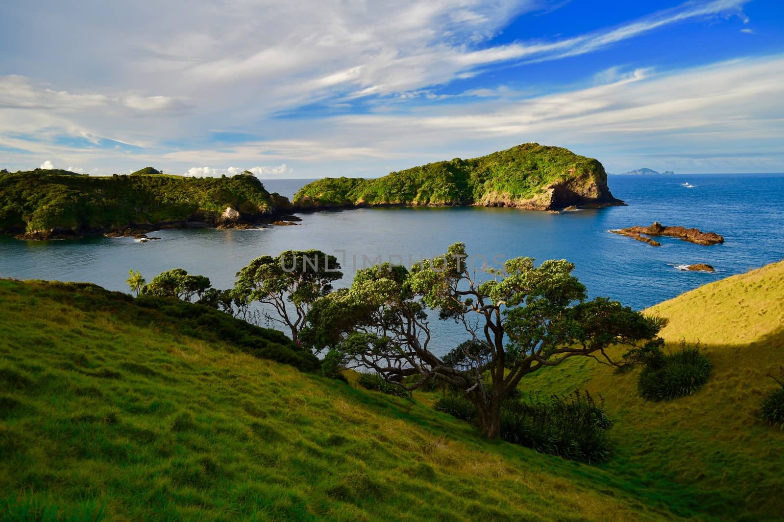 Seashores of New Zealand; beautiful seascape, bright blue ocean, and a small island far away by Marshalkina