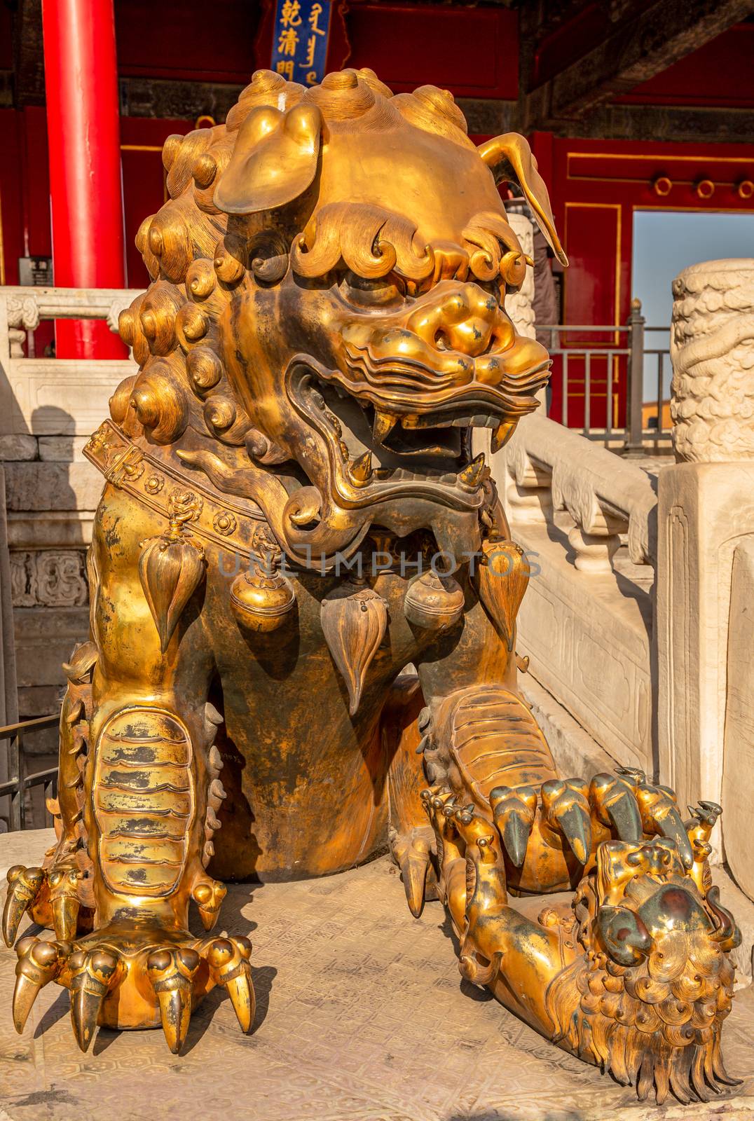 Golden chinese guardian lion or shishi statue from Ming dynasty era, at the entrance to the palace in the Forbidden City, Beijing, China