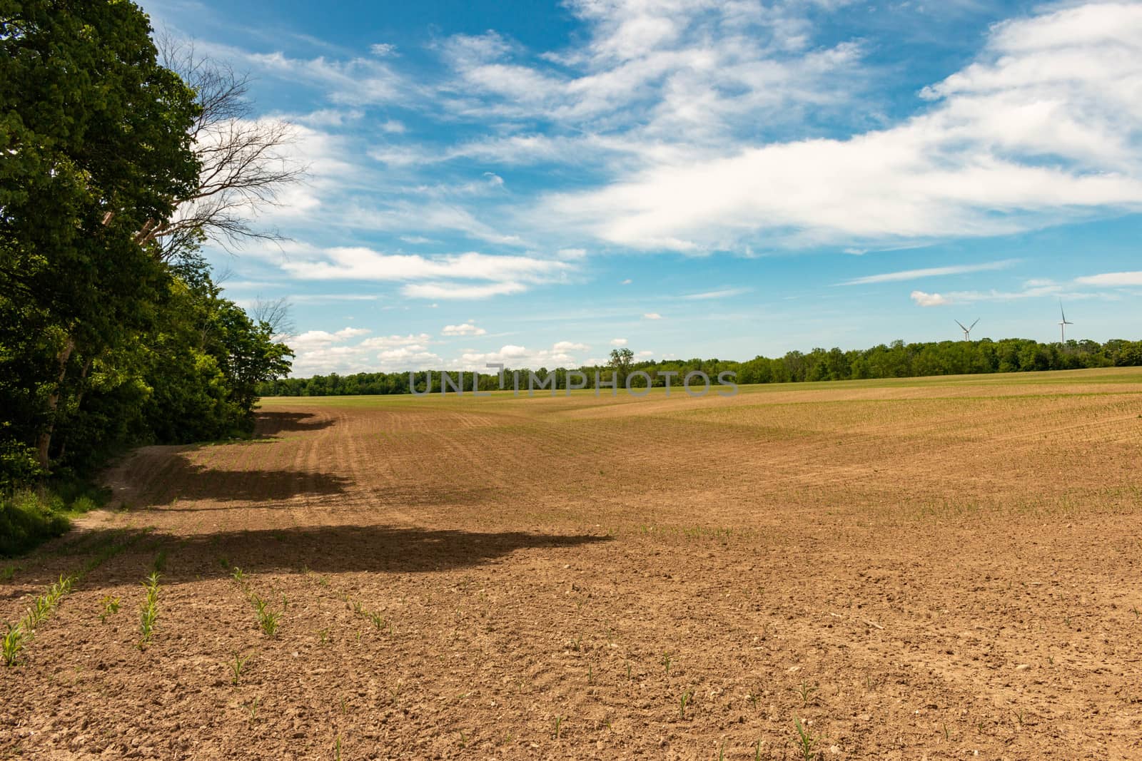Farm land, Ontario, Canada. View of freshly planted fields.. by mynewturtle1