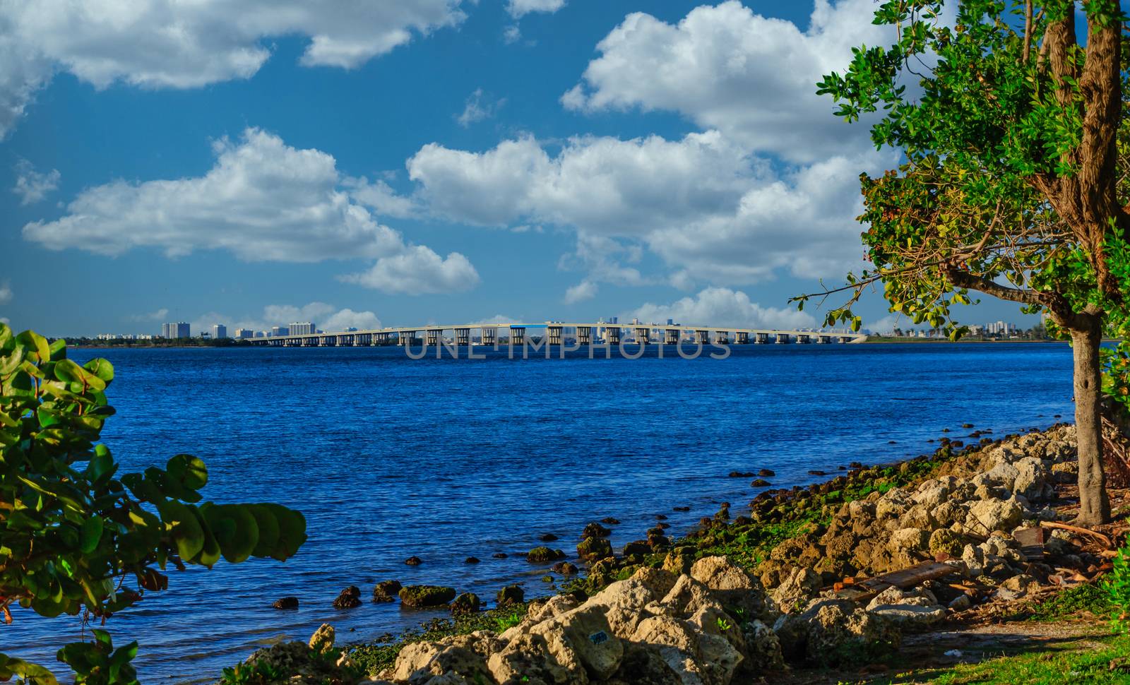 Bridge Across Biscayne Bay in Miami by dbvirago